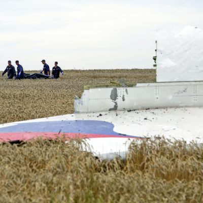 Det malaysiska passagerarplanet MH17 med 298 personer ombord skjöts ner över rebelkontrollerat område i östra Ukraina den 19 juli år 2014