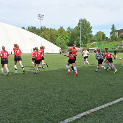 stadi cup i juni 2015