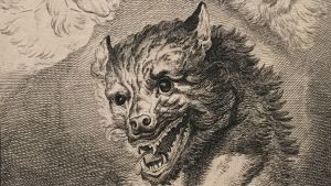 Johann Elias Ridinger: Wolfsgesichter, 1742 (Vargansikten) Johann Elias Ridinger: Wolfsgesichter, 1742 (Vargansikten)
