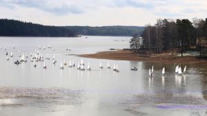 Tävlingscentrum ligger vid Seikkailulaakso på Emsalö och banområdet utanför på Orrbyfjärden. Träningsläger utanför Emsalö inför Optiregatta Hannun Kannu.