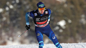 Ilkka Herola.