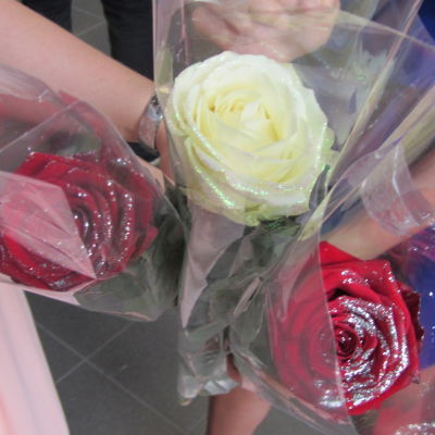 Röda och gula rosor till en student.