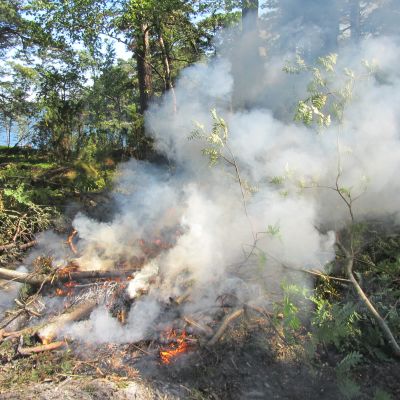 Brinnande rishög på Bylandet i Ekenäs skärgård