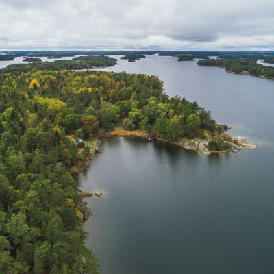 En flygbild av Tovö i Ekenäs skärgård, massor av skog och vatten.