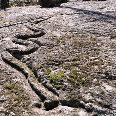 Kallioon kaiverrettu käärmekuvio
