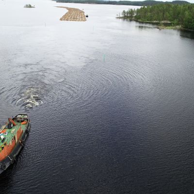 Hinaaja Tarmo vetämässä tukkilauttaa Saimaalla.