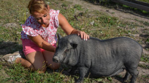 Rescuegrisen Lyyli har blivit väldigt sällskaplig efter att hon flyttat till Malenas lantgård. Malena Blomqvist och grisen på bild