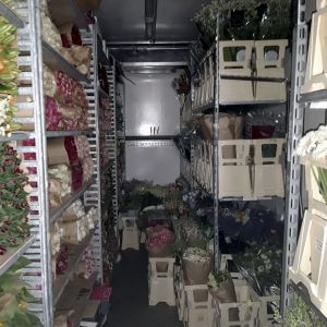 Poliisin handout-kuvassa kukka-auto: huumausaineet oli pakattu kuorma-autoon kukkien ja kasvien kuljetusruukkuihin