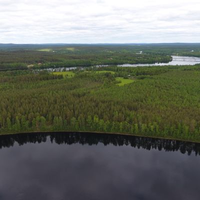 Sierilän voimala tulisi keskelle kuvassa näkyvää Sieriniemeä, jonka poikki kaivetaan runsaan kilometrin pitkä voimalaitoskanava. Kuva on alajuoksun suuntaan taustalla näkyy Kemijoen ylittävä Oikaraisen silta. Sieriniemi, Rovaniemi 12.6.2019