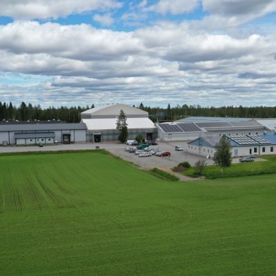 Finn Springin Härkänevan tehdas Toholammilla.