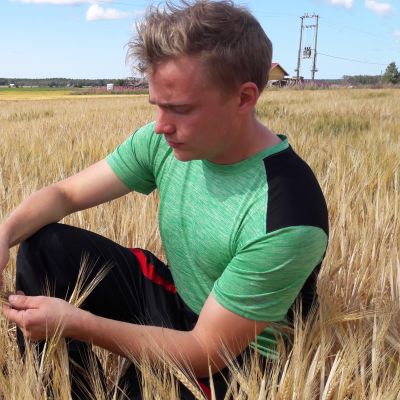 Antti Pukara pohdiskelee viljapellollaan.