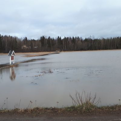 tulva pellolla