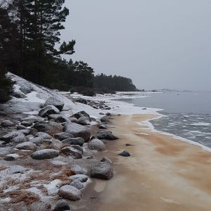 Långörens strand i Hangö i januari 2022.
