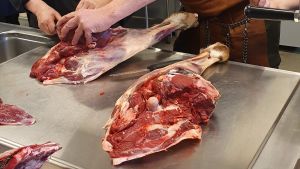 Det finns mycket som kan tillvara från en hjort om mer än bara filéer och köttfärs säger Torsten Mörner. Torsten Mörner visar hur köttet ska hanteras och fileras.