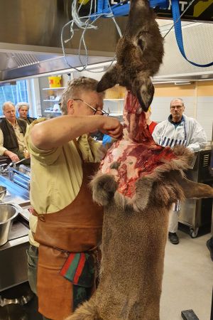Det gäller att vara noggrann då hjorten flås så att det inte blir kvar hårrester eller skinn som kan förstöra köttet. Torsten Mörner flår en vitsvanshjort i utbildningssyfte.