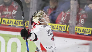Antti Suomela fick nöja sig med ett ettårskontrakt. JYP:s Antti Suomela jublar efter mål.