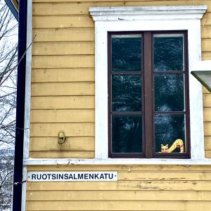 Närbild på gul trähusvägg mot vintrig bakgrund. I fönstret finns en bild på en gul katt som sträcker på sig. Under fönstret står det Ruotsinsalmenkatu och siffran 9.