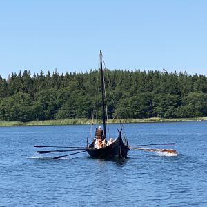 Vikingaskeppet Sotka kommer att besöka Rosala oftare, bestämde man på vikingadagarna. Vikingaskeppet Sotka ros fram i skärgården. Fyra årpar sticker fram från sidorna på den svarta båten.