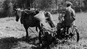 Mies ja kaksi hevosta heinäpellolla (1940)