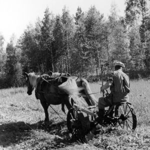 Mies ja kaksi hevosta heinäpellolla (1940)