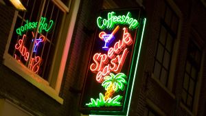 På holländska coffee shops handlar turister sitt gräs – nederländarna själva använder inte mer cannabis än det europeiska medeltalet. En coffee shop i Amsterdam.