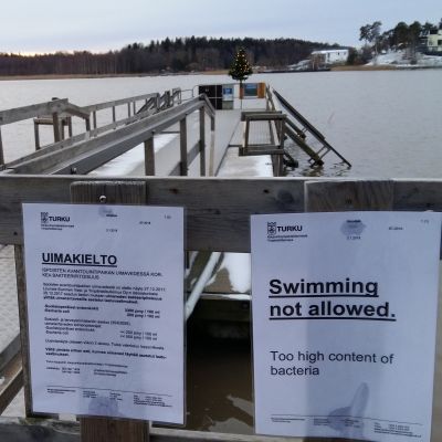Skylt på finska och engelska om badförbud på grund av för höga halter enterokocker i vattnet vid Ispois vinterbad.