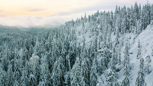 Ainutlaatuinen Meidän maamme -sarja esittelee koko Suomen ja sen upean luonnon ilmasta käsin.