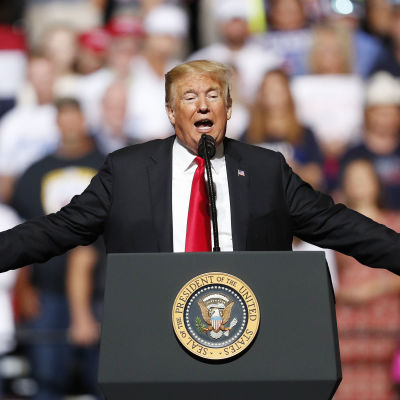Donald Trump talar under ett valmöte i Wheeling i West Virginia den 29 september 2018.