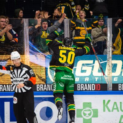 Samuli Vainionpää, Ilves