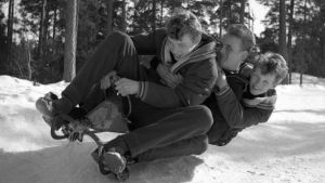 Anders Wiklöf sitter längst bak på kälken. Brodern Lasse längst fram och kamraten Janke Ahlman i mitten. En ung Anders Wiklöf åker kälke tillsammans med sin bror Lasse och Janke Ahlman.