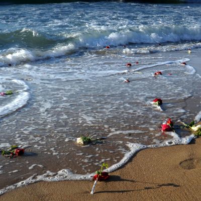Kukkia meren rannassa EgyptAir-onnettomuuden uhrien muistolle.