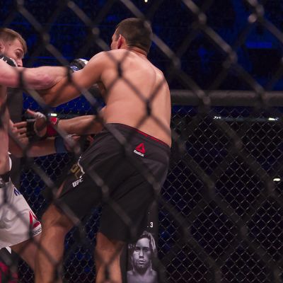 Stipe Miocic ja Fabrizio Werdum