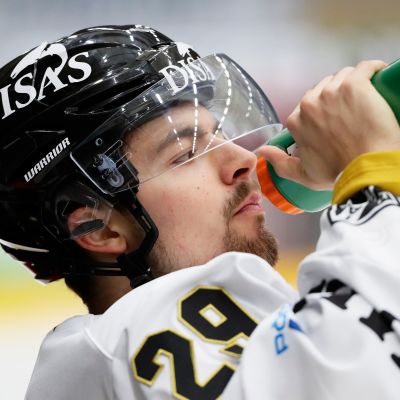 Radek Koblizek, Oulun Kärpät