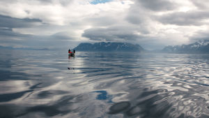 Till havs. Fiskandet fyller en viktig roll både innehållsmässigt och visuellt. En liten fiskebåt på ett stort, öppet hav.