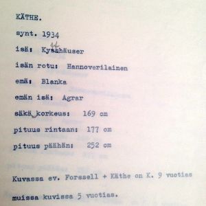 Kathyn mitat
