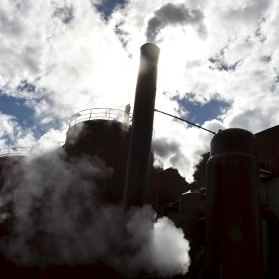 Metsäteollisuusyhtiö UPM aikoo sulkea Kaipolan paperitehtaan.