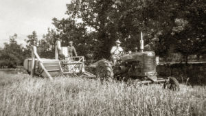 I dag är det ekologisk odling som gäller på Rilax gård. Bilden är tagen tiden före generation elva och tolv. ett gammalt svartvitt fotografi. Två män, en på traktor, andra på en gammeltida skördetröska på ett sädesfält. Sensommar..