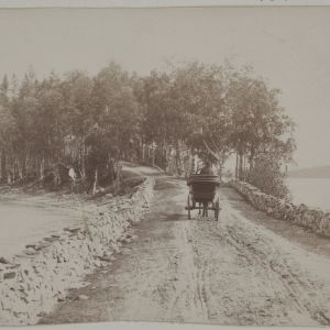 Maantie Punkaharjulla 1800-1900-luvun vaihteessa. Hevoskärryt ajavat Punkaharjulla 1800-1900-luvun vaihteessa.