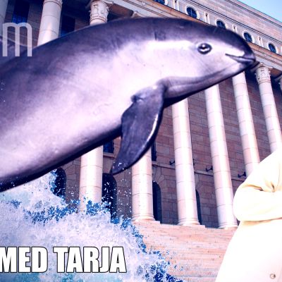 Djur med Tarja: Kaliforniatumlare