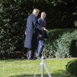 Den republikanska senatorn Lindsey Graham säger sig vara hoppfull efter att ha träffat president Donald Trump i Vita huset. Denna bild är från ett möte i november Den republikanska senatorn Lindsey Graham säger sig vara hoppfull efter att ha träffat president Donald Trump i Vita huset. Denna bild är från ett möte i november
