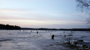 Pilkkikisan osallistujat siirtyvät jäälle kisan alkaessa Valkeakoskella.