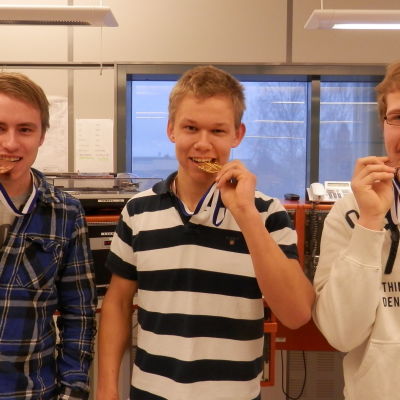Robin Laine, Tobias Wik och Fredrik Kortell fick medalj i Mästare 2014 tävlingen i yrkeskunskap