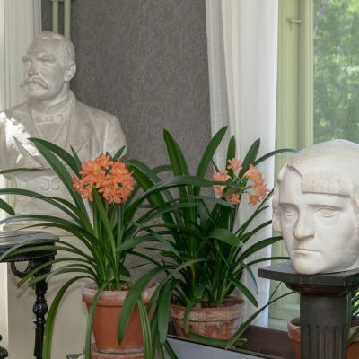 P.E. Svinhufvudin ja Ellen-vaimon rintapatsaat Kotkaniemen salissa, taustalla kukkivia kliivioita.