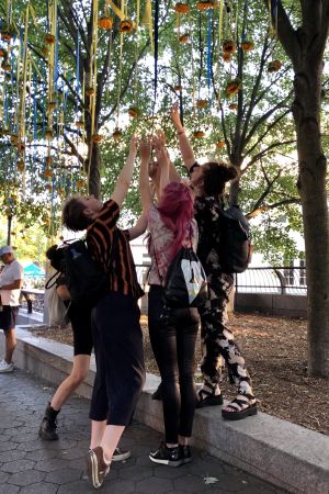 Solrosor i mängder lockar besökarna. Besökare försöker nå solrosorna som är upphängda i träden vid ingången till midsommarfesten i New York.
