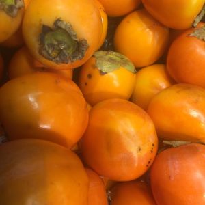 Keltaisia, tomaatin näköisiä persaimoni-eli kakihedelmiä kuvan täydeltä