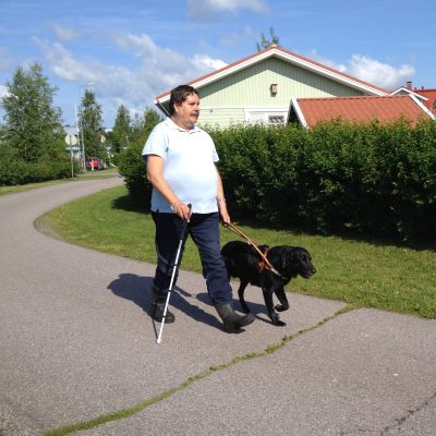 Synskade Kenneth Ekholm på promenad med sin ledarhund Duffe