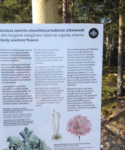 Skylt om skärgårdsväxter på Tulluddens naturstig i Hangö