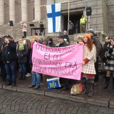 Demonstration emot jämlik äktenskapslag 28.11.2014