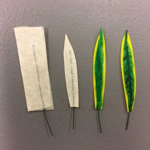 Så här gör du blad till en svärmorstunga. Olika steg för hur du gör blad av målartejp.