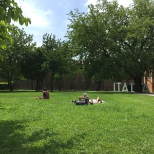 Grönområden vid Arsenale ger plats för vila i solen. Venedigbiennalen har många grönsområden.